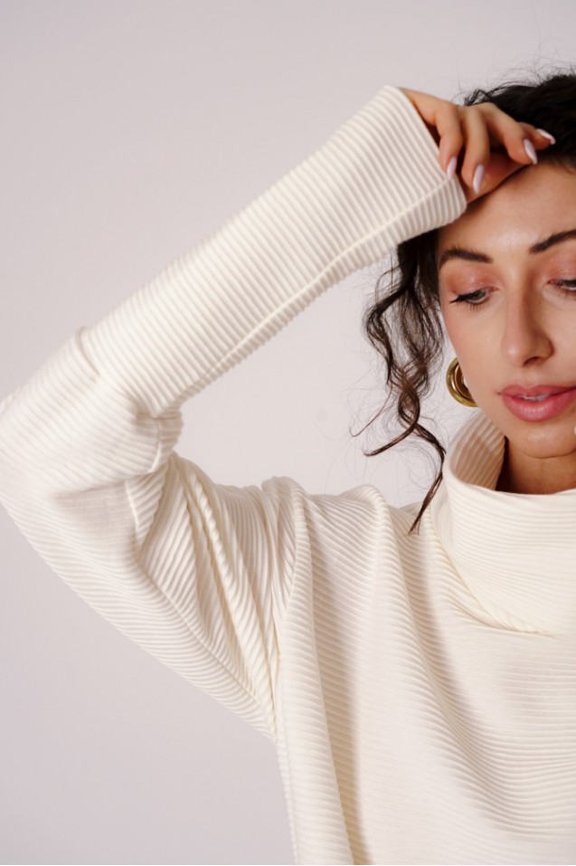 copy of Tova oversize turtleneck
